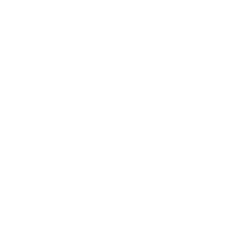 cropped-logo_BIANCO.png